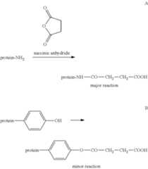 Figure US08703117-20140422-C00001