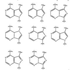 Figure imgf000020_0001