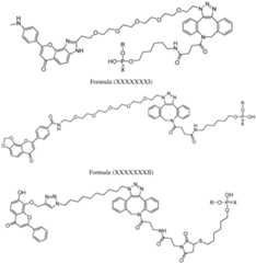 Figure imgf000049_0001