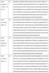 Figure BDA0004113681710001701