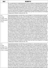 Figure BDA0003627552160001031