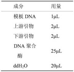 Figure BDA0003522458740000101