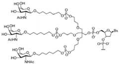 Figure 112016114379466-pct00193