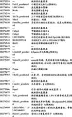 Figure BDA0000057170160001251