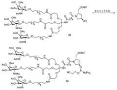 Figure 2023012548000637