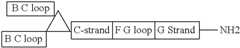 Figure US08907053-20141209-C00089