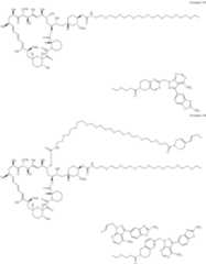 Figure US11364300-20220621-C00480