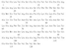 Figure 109115264-A0305-02-0241-104