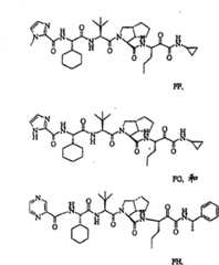 Figure BSA00000606821200691