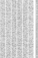 Figure IPA0000293710130000121