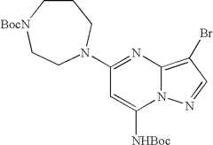 Figure US08580782-20131112-C02455