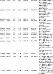 Figure BPA00001280678303541