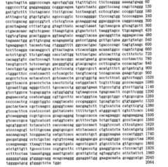 Figure 109103078-A0101-12-0140-144