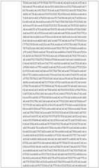 Figure BDA0002508391090001461