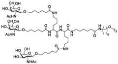 Figure BDA0003357312860003272