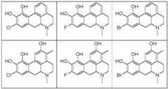 Figure imgf000101_0002