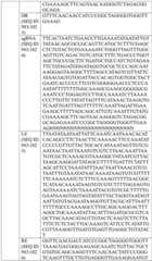 Figure BDA0004033970230005151