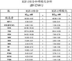 Figure DEST_PATH_IMAGE028