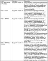 Figure imgf000032_0001