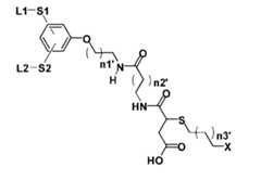 Figure 106103567-A0304-12-0084-104