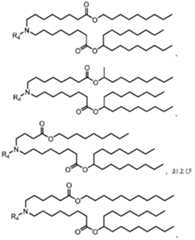 Figure 2022542562000063