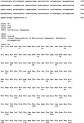 Figure imgb0276