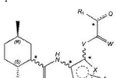 Figure imgf000005_0001