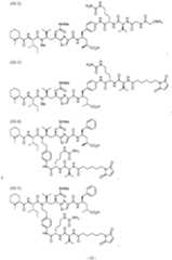 Figure imgf000035_0001