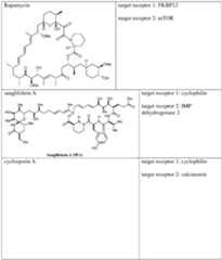 Figure imgf000498_0001