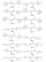 Figure 111101514-A0305-13-0013-306