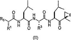 Figure BDA00002188159600132