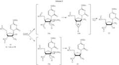 Figure US07601820-20091013-C00011