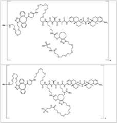 Figure FDA0002889616210000481