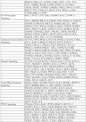 Figure imgf000051_0001