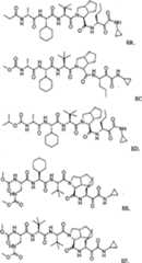 Figure A0181505500961