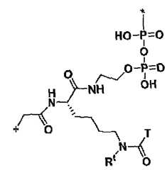 Figure imgf000019_0003
