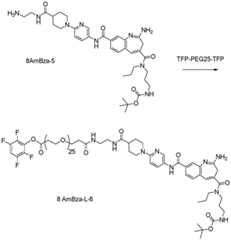 Figure BDA0003652151060001291