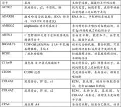 Figure BDA00002764558701201