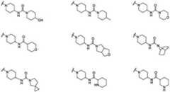 Figure 503209DEST_PATH_IMAGE039