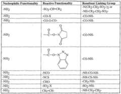 Figure imgf000014_0001