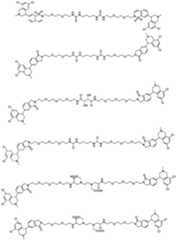 Figure PCTCN2021139314-appb-000046