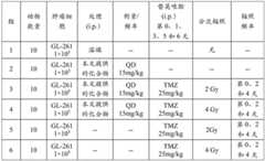 Figure BDA0003142399140004111