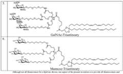 Figure imgf000052_0001