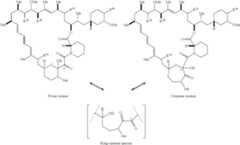 Figure US11364300-20220621-C00265