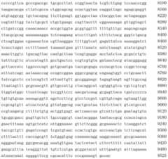 Figure IDA00002556098000131