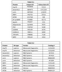 Figure imgf000046_0001