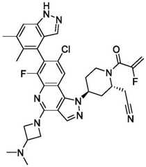 Figure BDA0003993773060003301