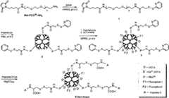 Figure BSA00000284971100031