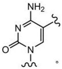 Figure BDA0003670511740001944