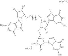 Figure US11737979-20230829-C00026
